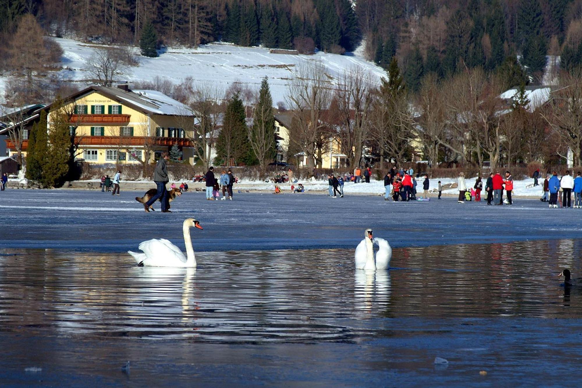 Landhotel Schutzenhof Fuschl am See Exterior photo